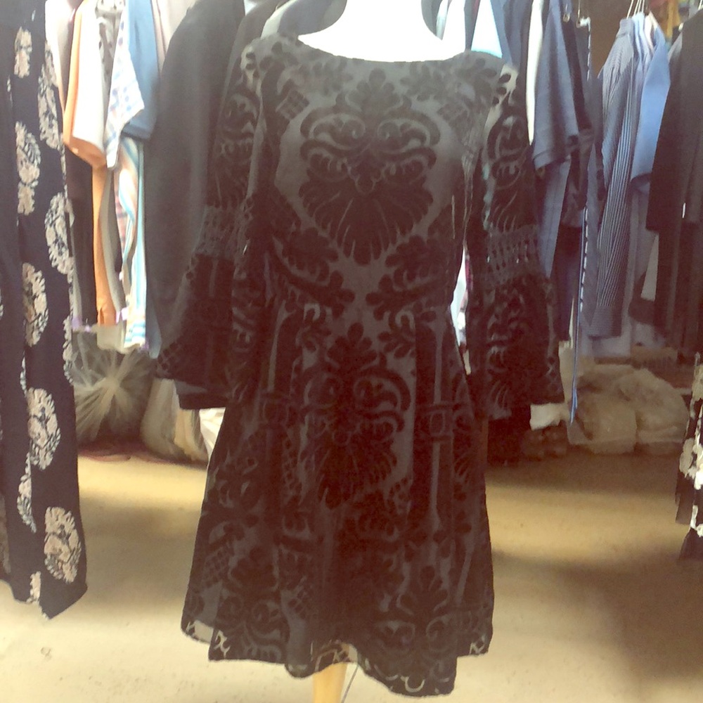 Eliza J midi velvet and sheer dress.